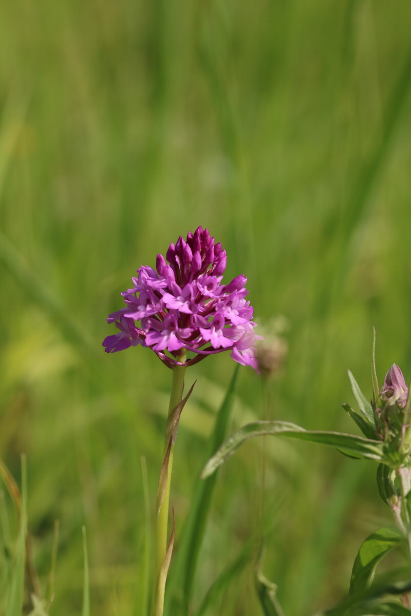 2017_05_25_031285_Bildgr��e �ndern