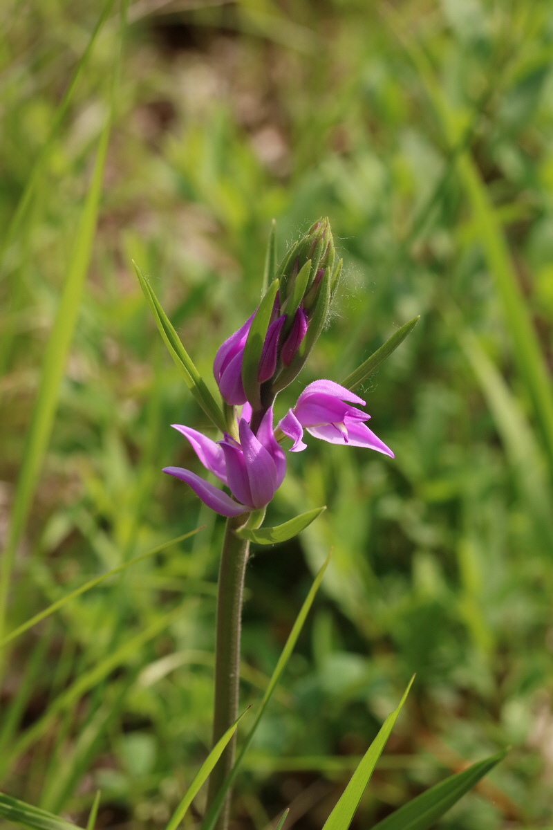 2017_05_25_031332_Bildgr��e �ndern