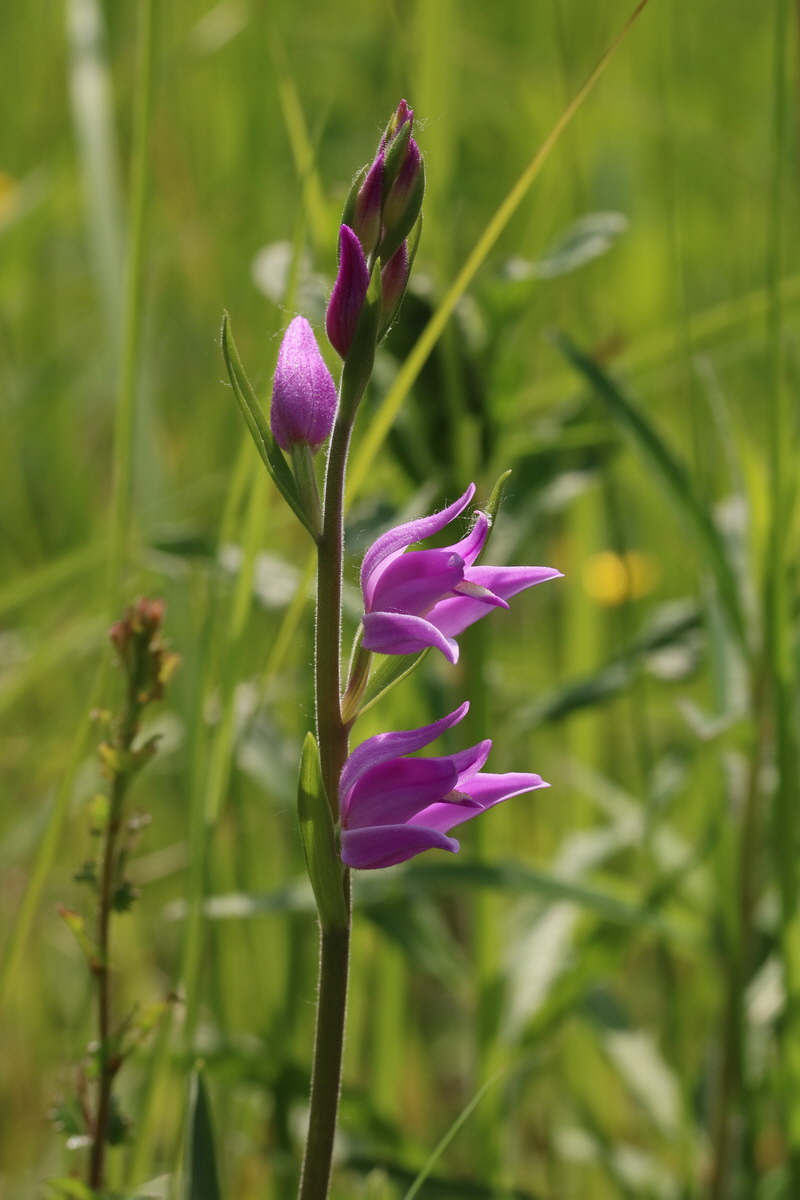 2017_05_25_031345_Bildgr��e �ndern