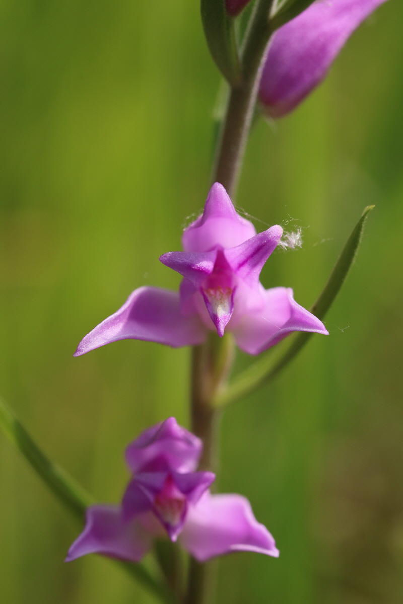 2017_05_25_031355_Bildgr��e �ndern