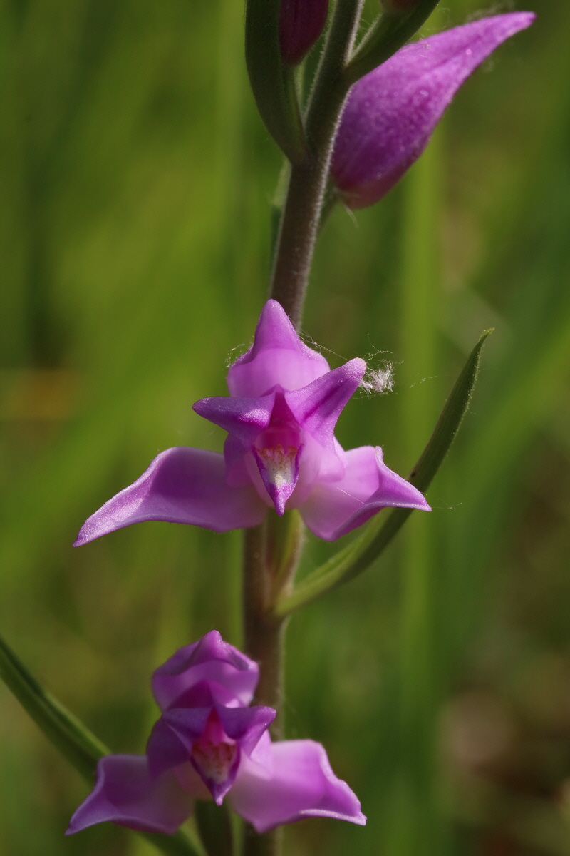 2017_05_25_031364_Bildgr��e �ndern