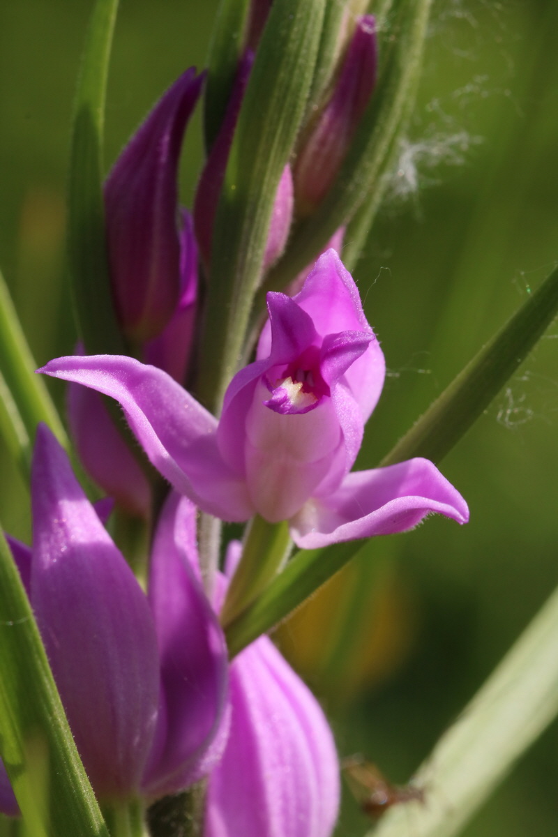 2017_05_25_031371_Bildgr��e �ndern