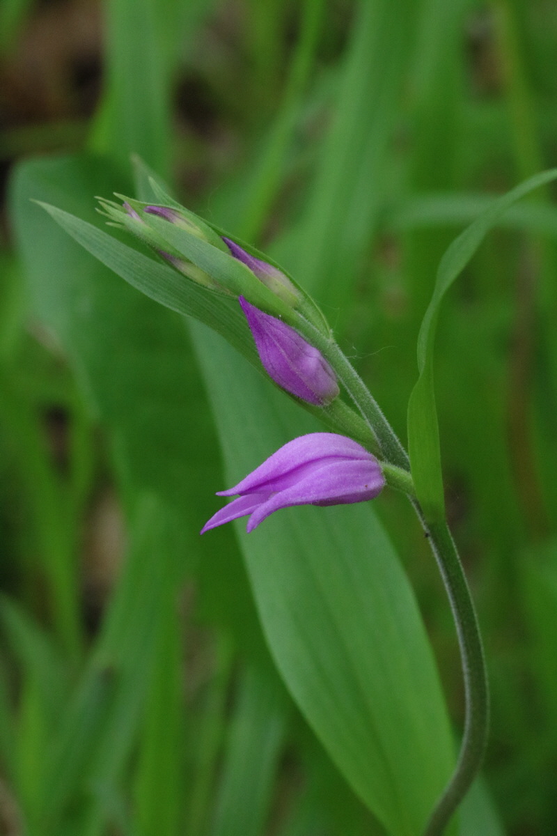 2017_05_25_031377_Bildgr��e �ndern