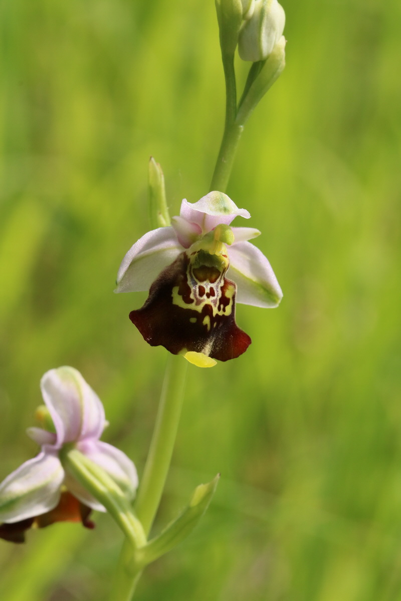 2017_05_25_031378_Bildgr��e �ndern