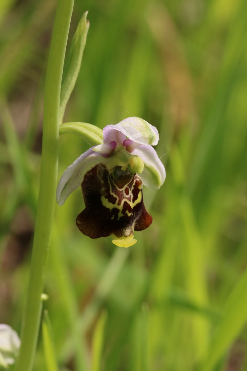 2017_05_25_031382_Bildgr��e �ndern