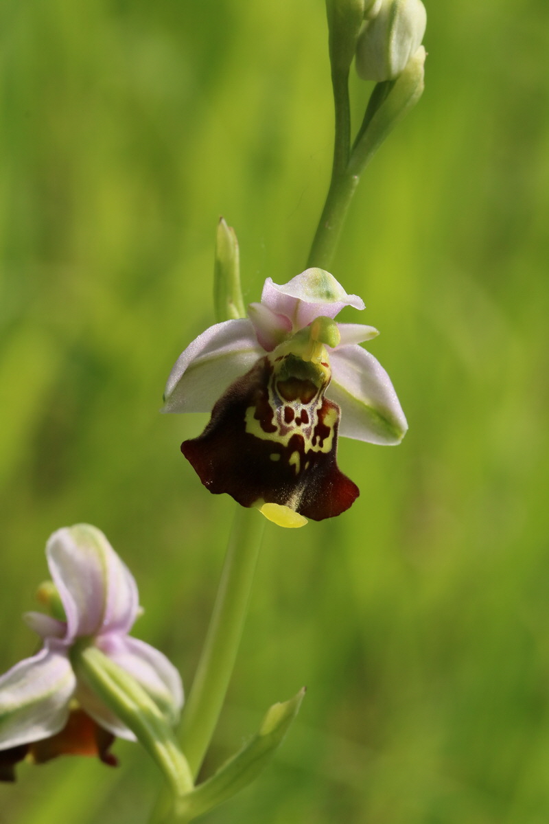 2017_05_25_031386_Bildgr��e �ndern