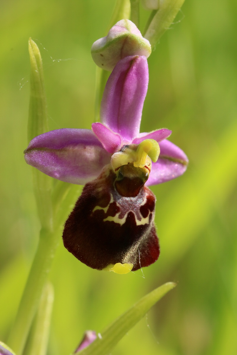 2017_05_25_031388_Bildgr��e �ndern