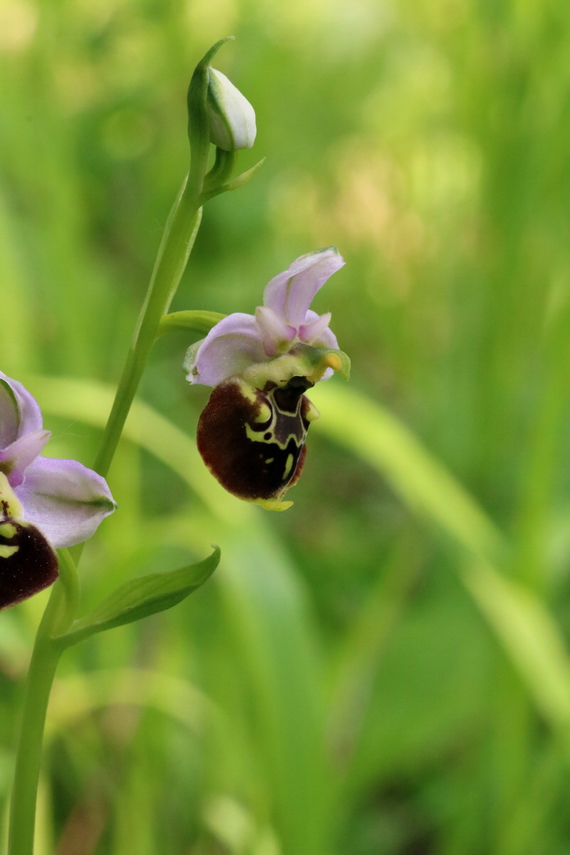 2017_05_25_031470p_Bildgr��e �ndern