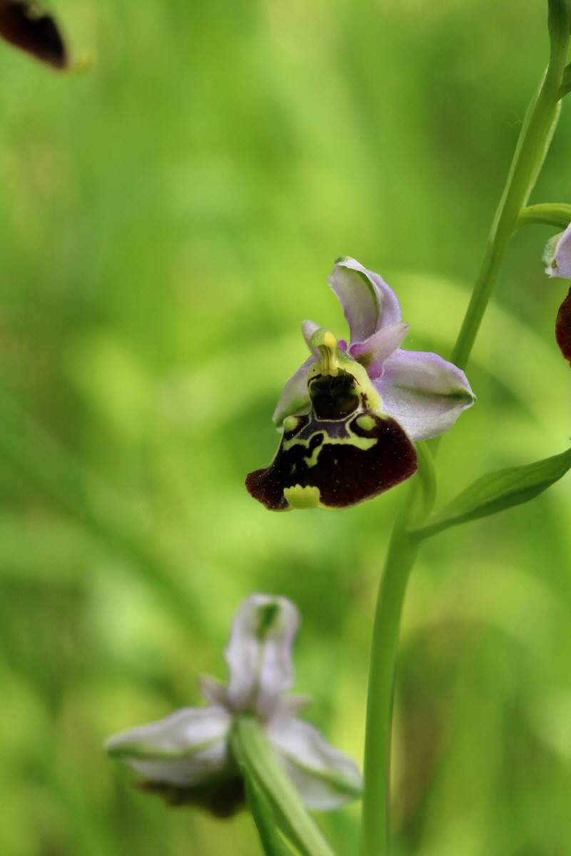 2017_05_25_031475p_Bildgr��e �ndern