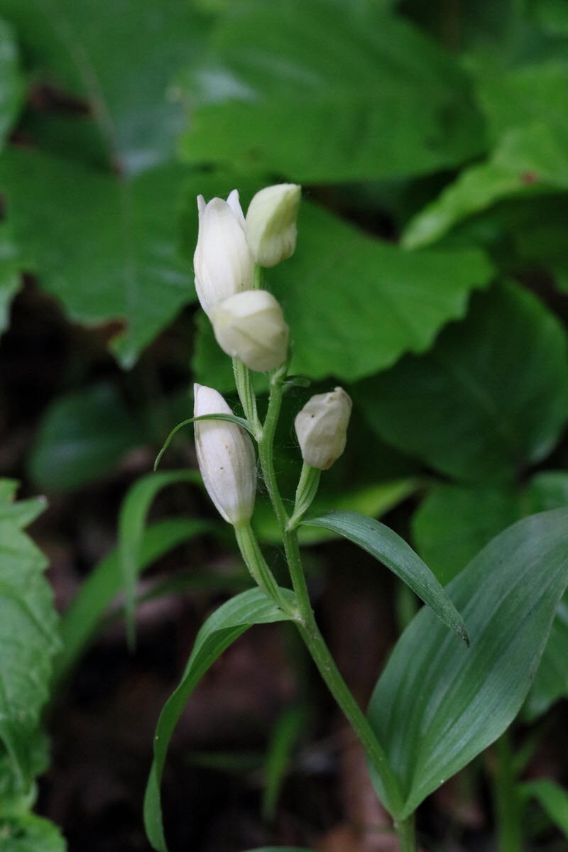 2017_05_25_031482p_Bildgr��e �ndern