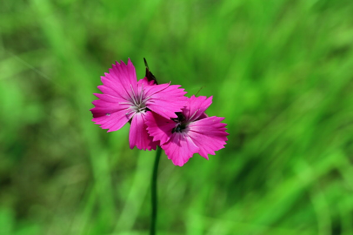 2017_05_25_031490p_Bildgr��e �ndern