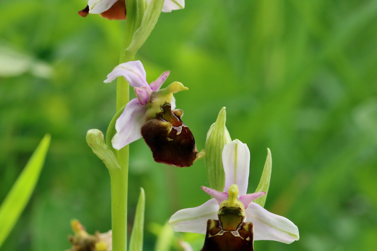 2017_05_25_031499p_Bildgr��e �ndern