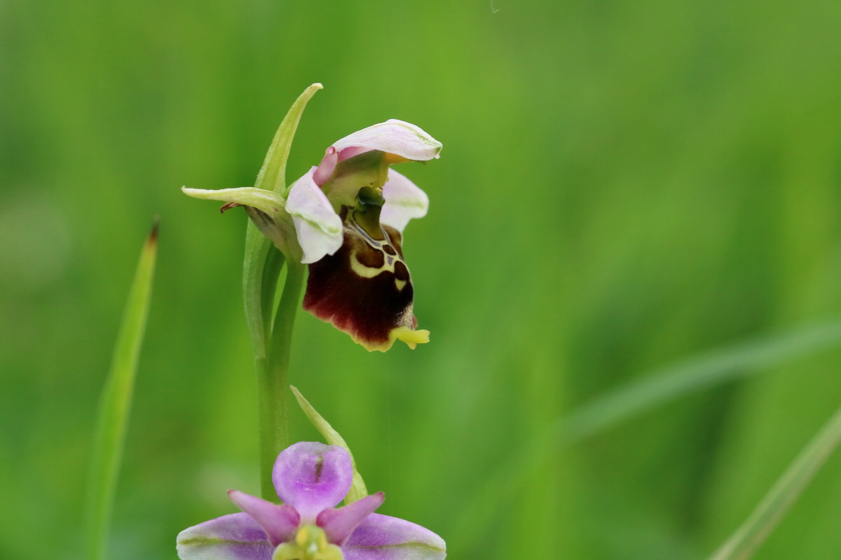 2017_05_25_031501p_Bildgr��e �ndern