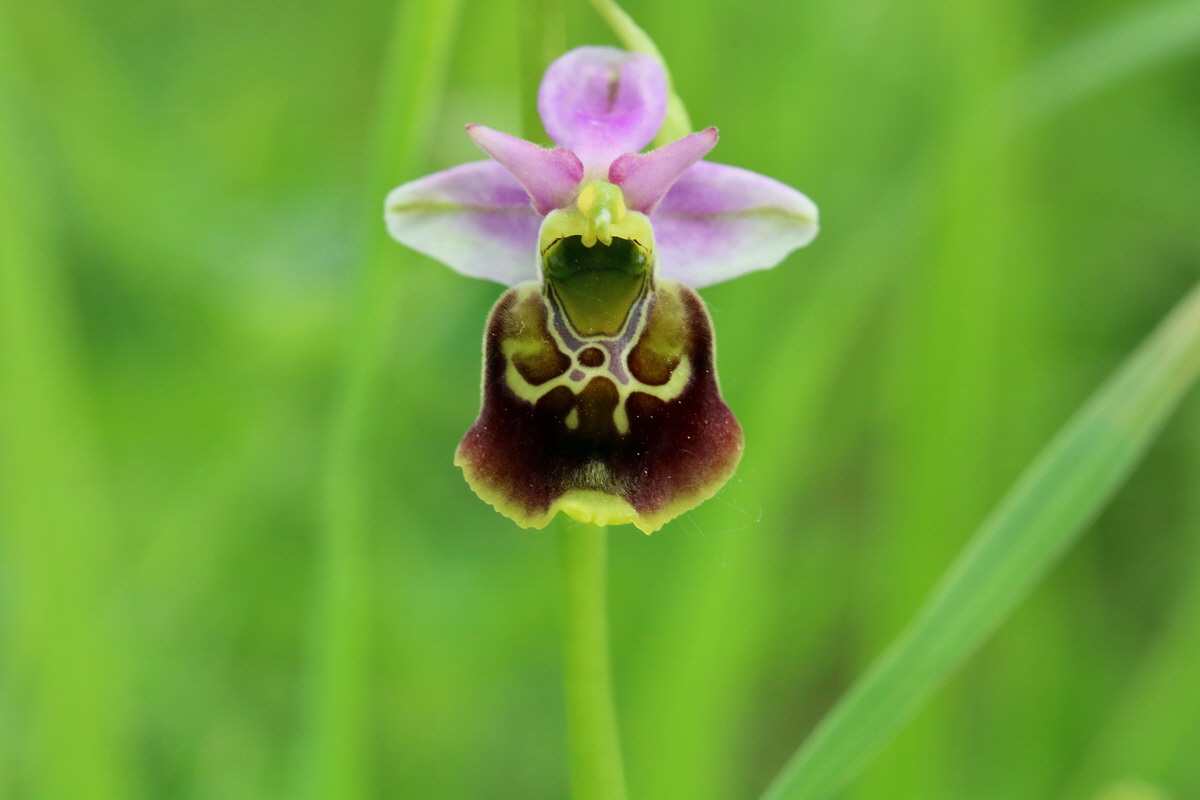 2017_05_25_031503p_Bildgr��e �ndern