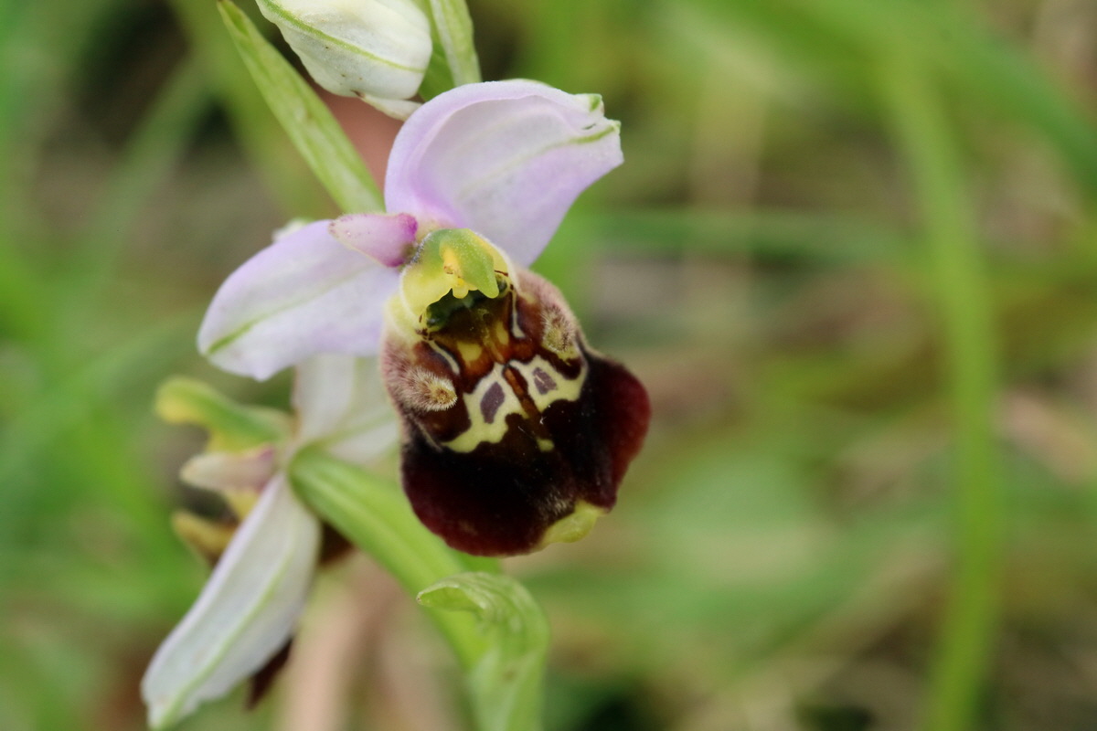 2017_05_25_031520p_Bildgr��e �ndern