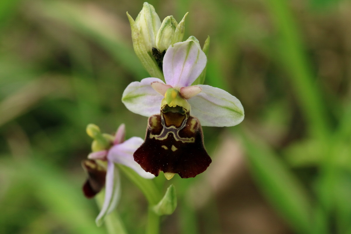 2017_05_25_031541p_Bildgr��e �ndern