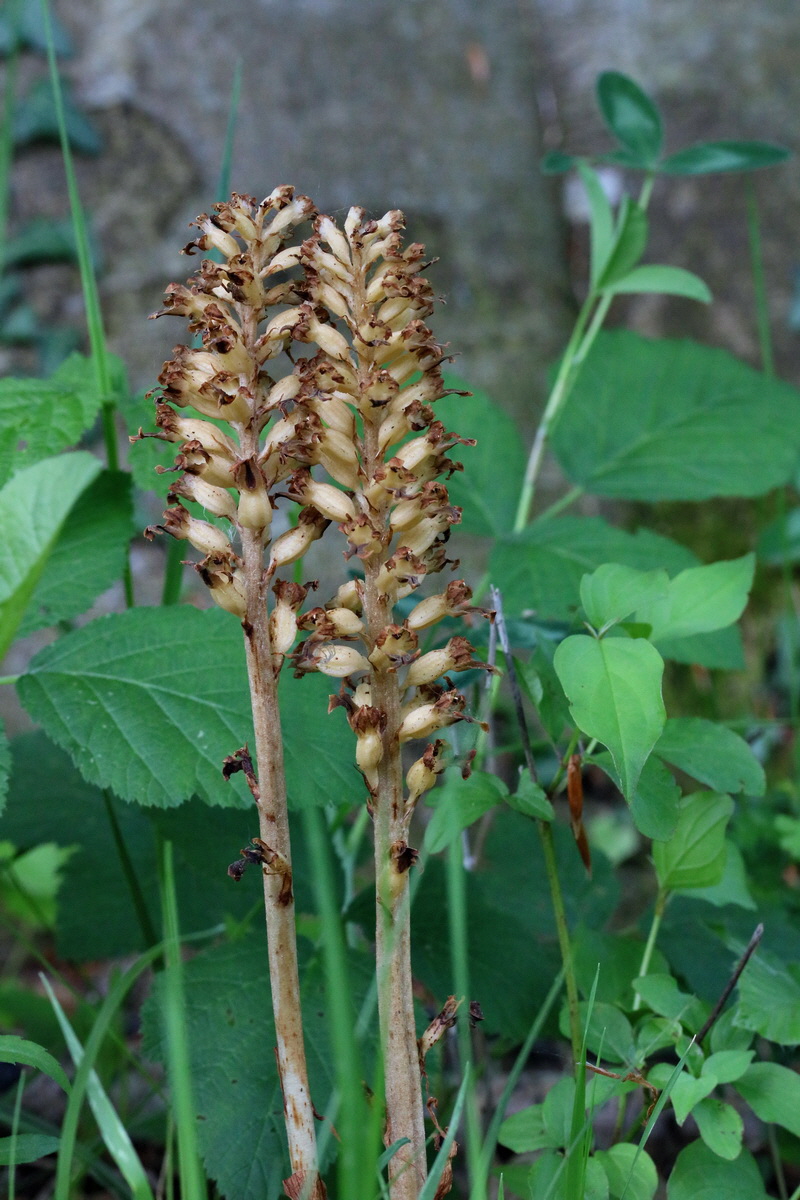 2017_05_25_031544p_Bildgr��e �ndern