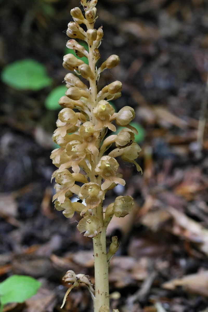 2017_05_25_031546p_Bildgr��e �ndern