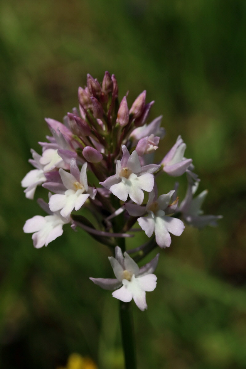 2017_05_25_031570p_Bildgr��e �ndern