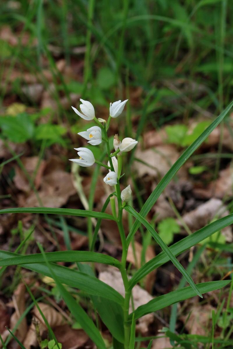 2017_05_25_031585p_Bildgr��e �ndern