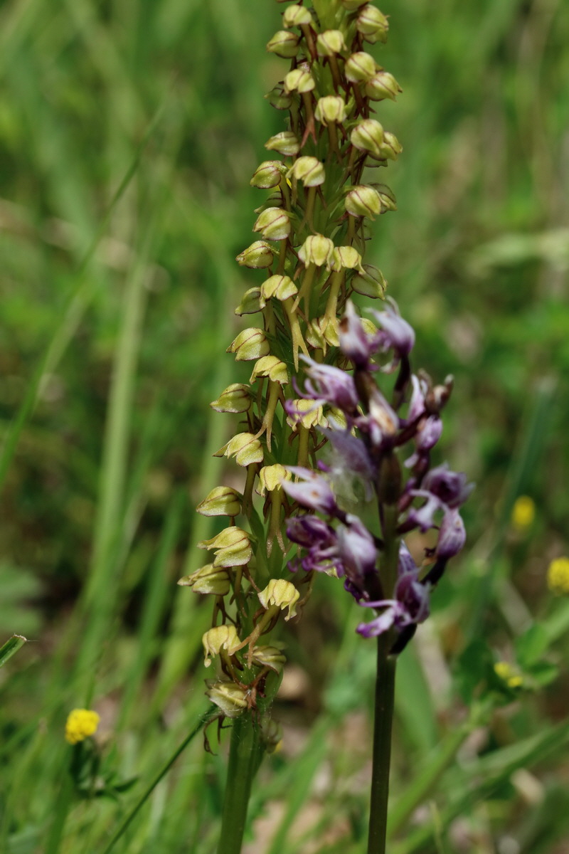 2017_05_25_031598p_Bildgr��e �ndern