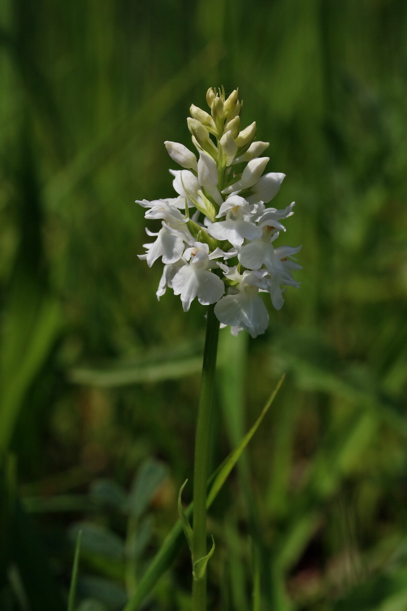 2017_05_25_031670p_Bildgr��e �ndern