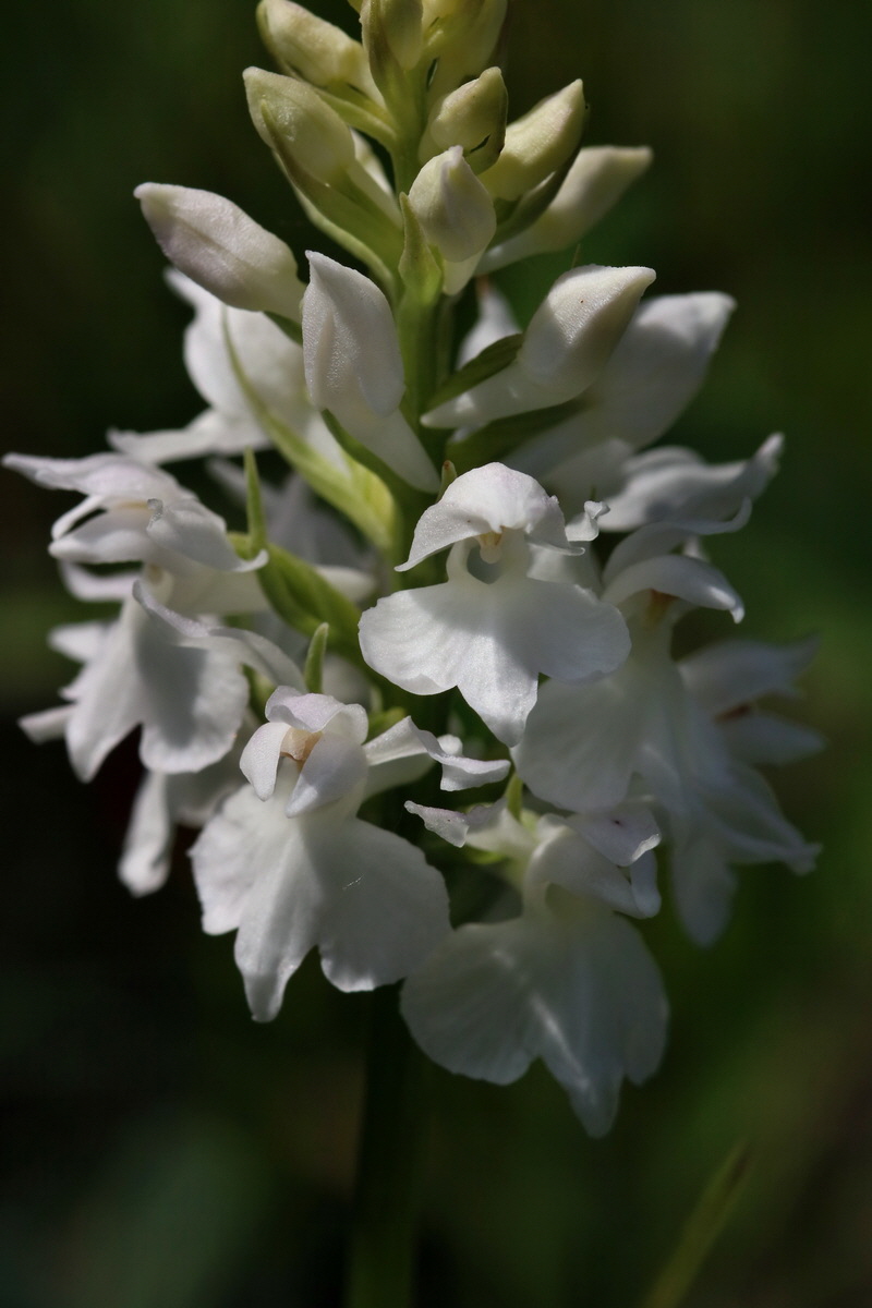 2017_05_25_031673p_Bildgr��e �ndern