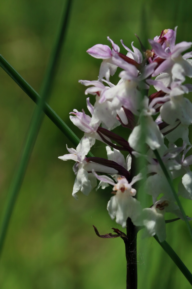 2017_05_25_031682p_Bildgr��e �ndern