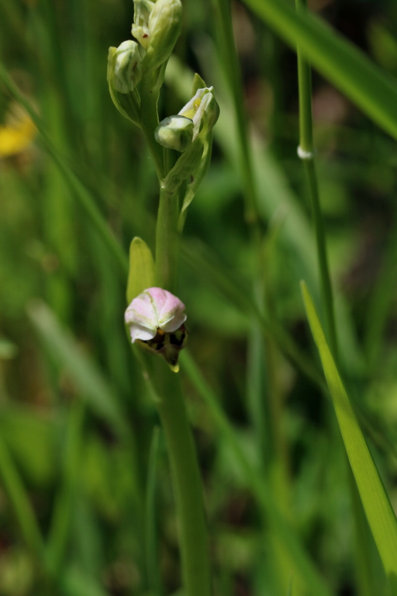 2017_05_25_031732p_Bildgr��e �ndern