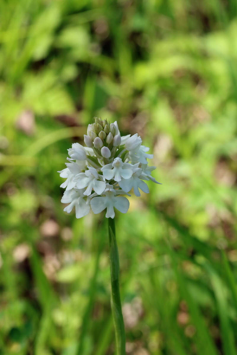 2017_05_25_031733p_Bildgr��e �ndern