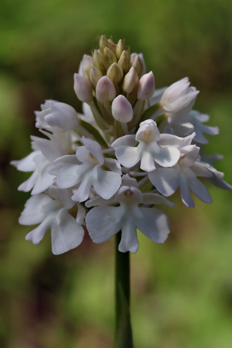 2017_05_25_031743p_Bildgr��e �ndern