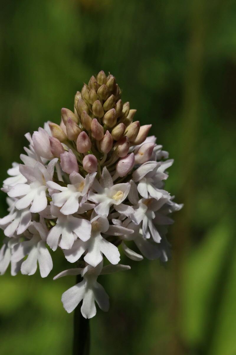 2017_05_25_031756p_Bildgr��e �ndern