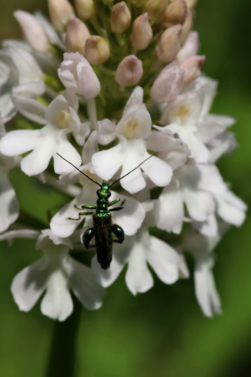 2017_05_25_031762p_Bildgr��e �ndern