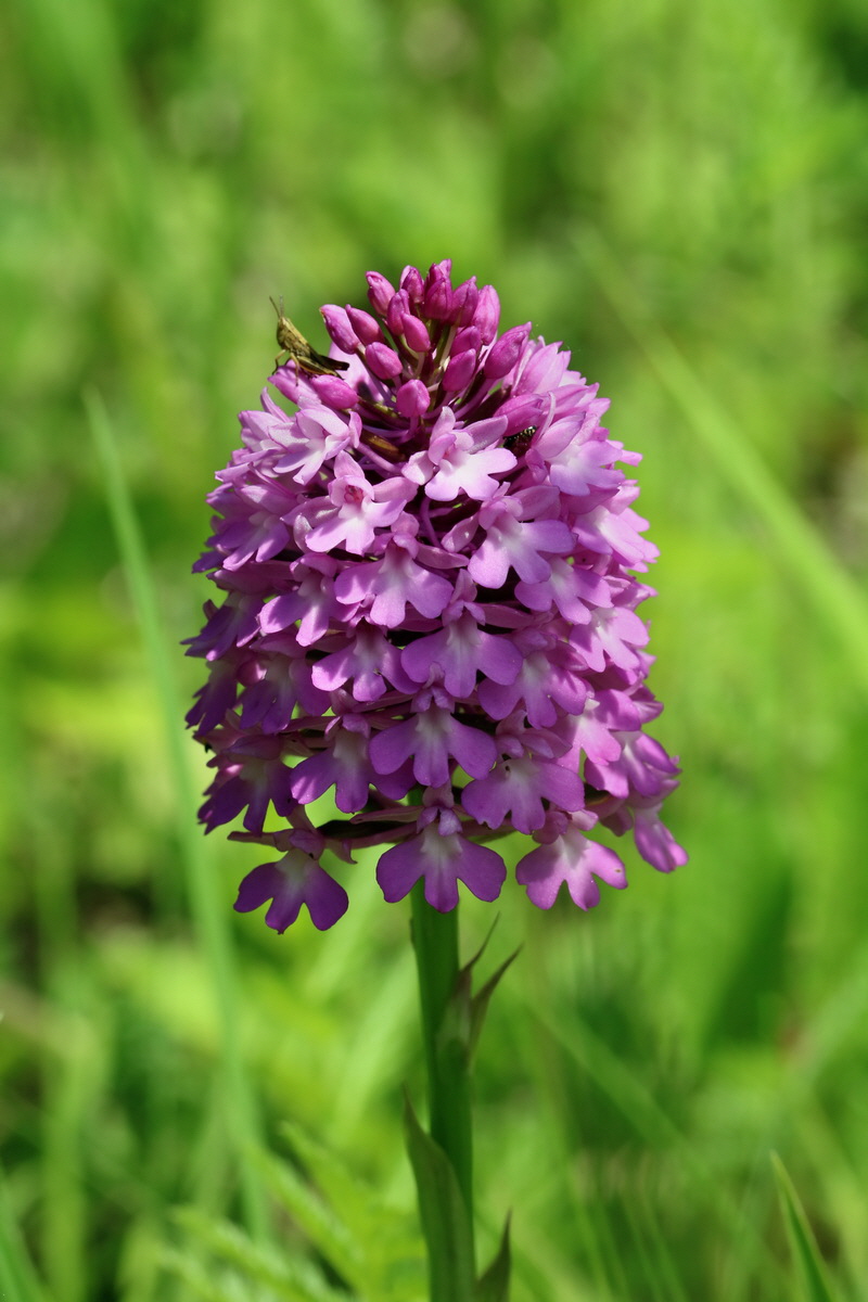 2017_05_25_031811p_Bildgr��e �ndern