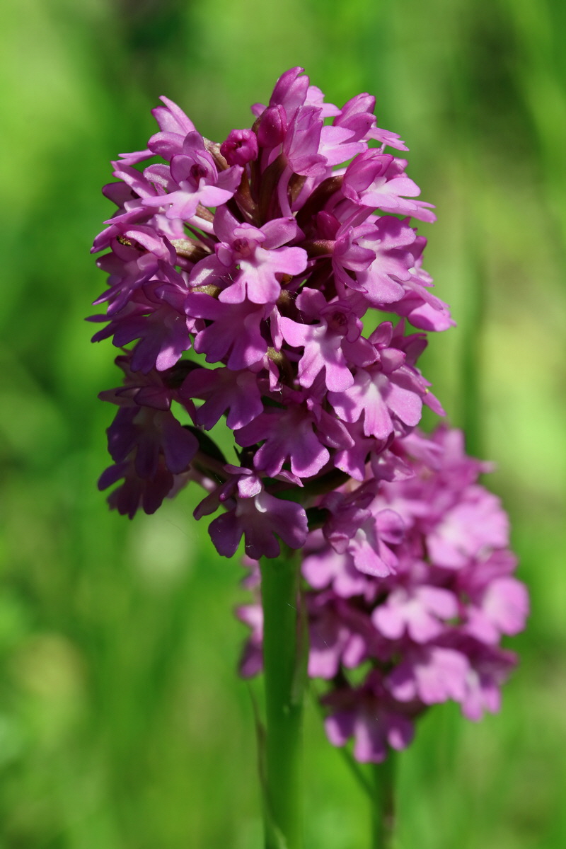 2017_05_25_031814p_Bildgr��e �ndern