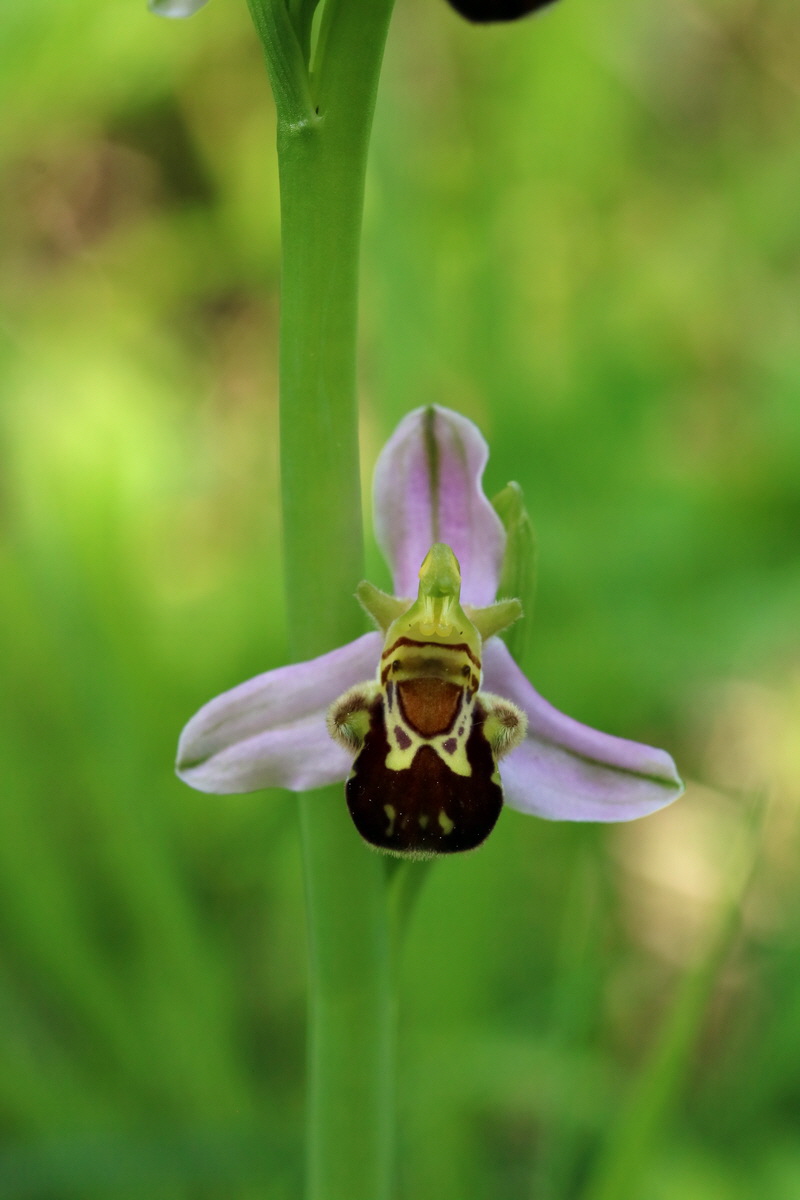 2017_05_25_031864p_Bildgr��e �ndern