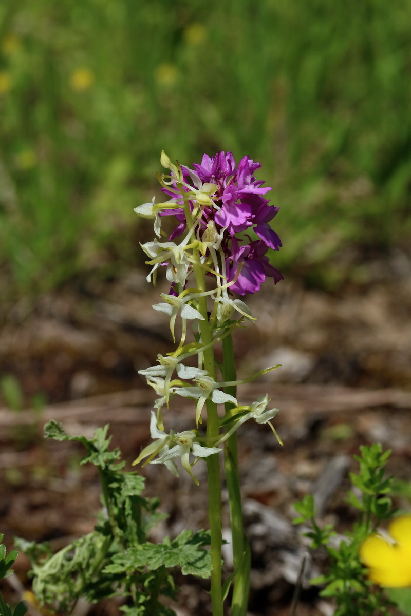 2017_05_25_031872p_Bildgr��e �ndern