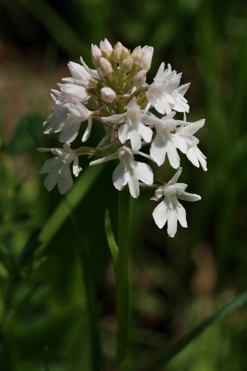 2017_05_25_031881p_Bildgr��e �ndern