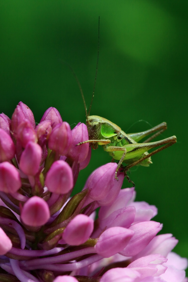 2017_05_25_031884p_Bildgr��e �ndern