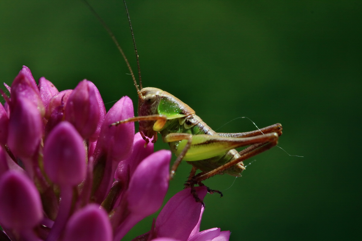 2017_05_25_031916p_Bildgr��e �ndern