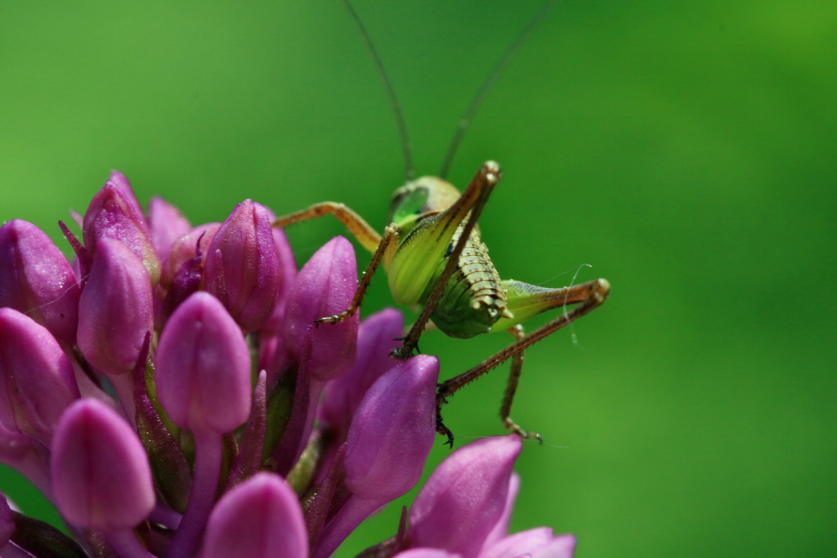 2017_05_25_031926p_Bildgr��e �ndern