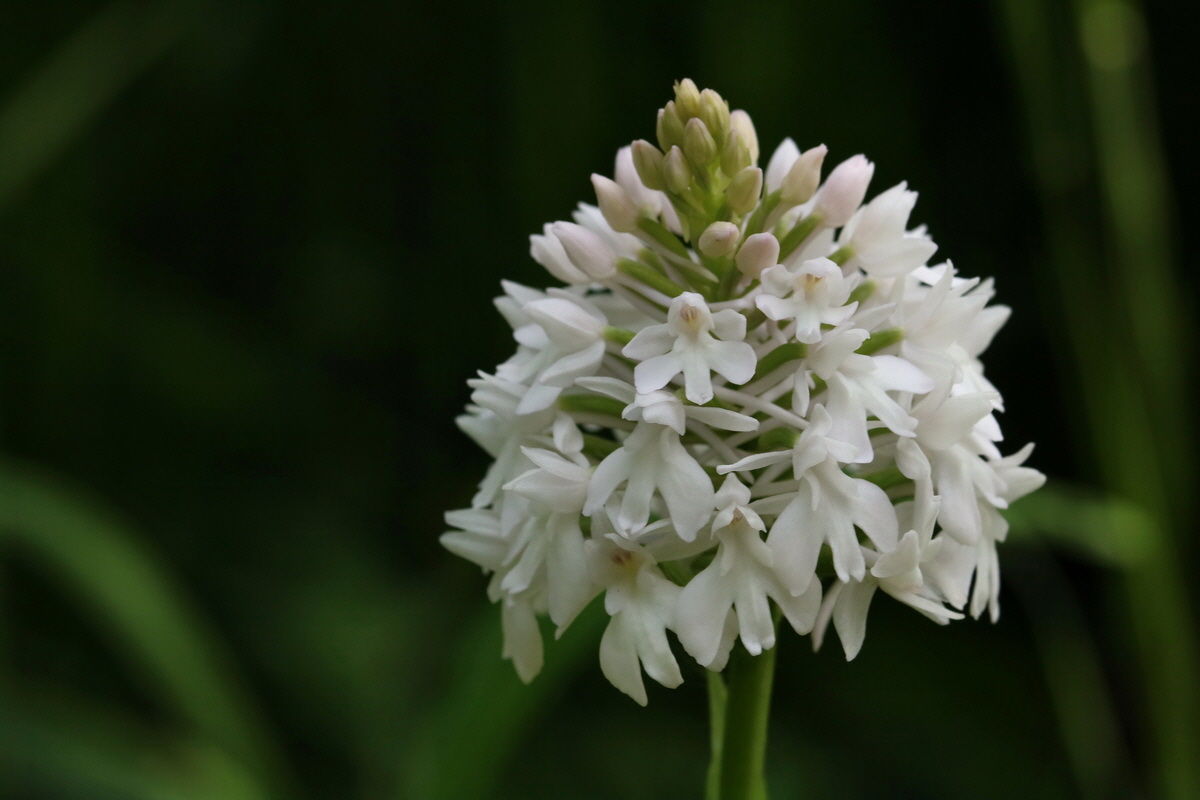 2017_05_25_031939p_Bildgr��e �ndern