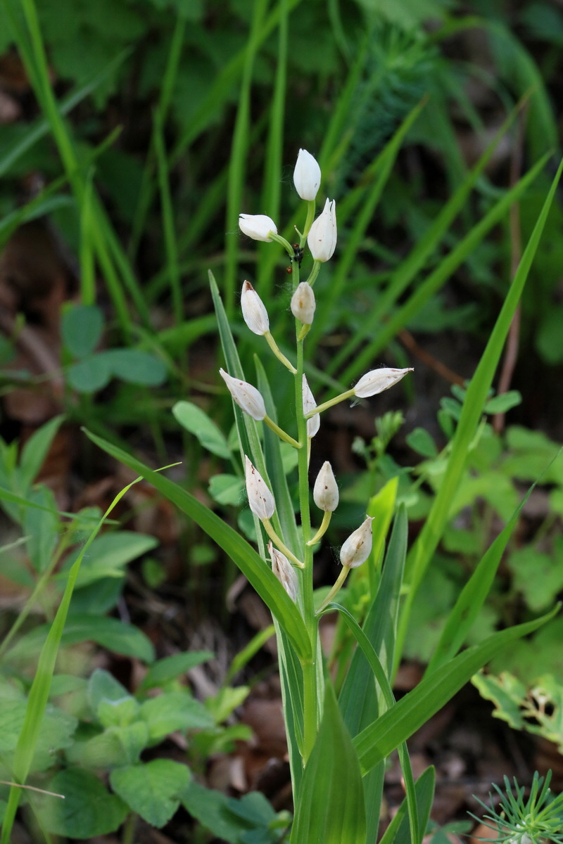 2017_05_25_031952p_Bildgr��e �ndern