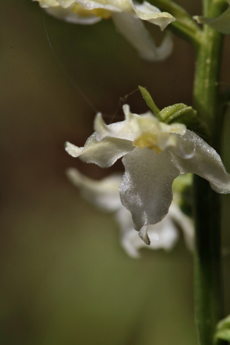 2017_05_25_031960p_Bildgr��e �ndern