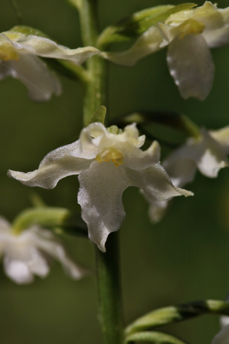 2017_05_25_031966p_Bildgr��e �ndern