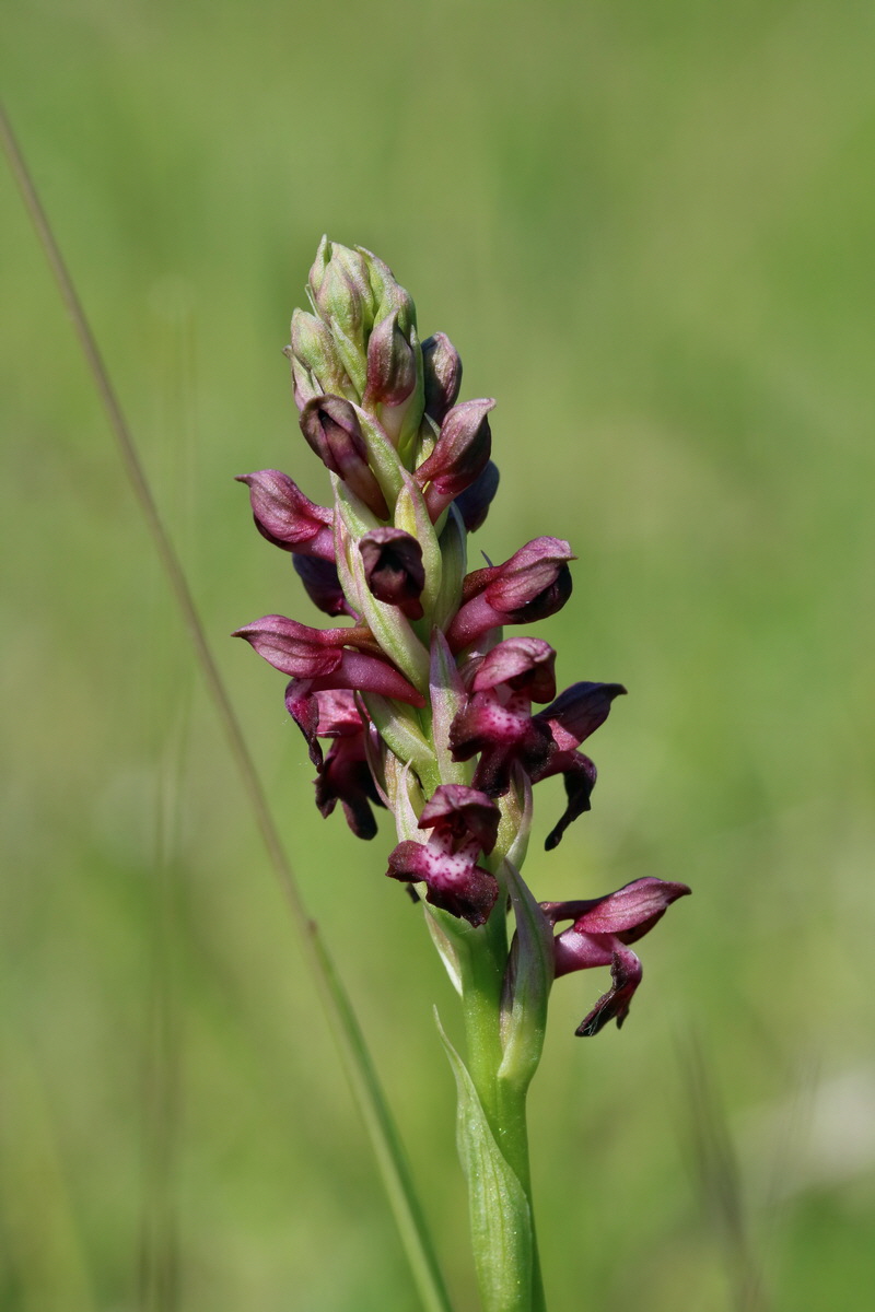 2017_05_25_032037p_Bildgr��e �ndern