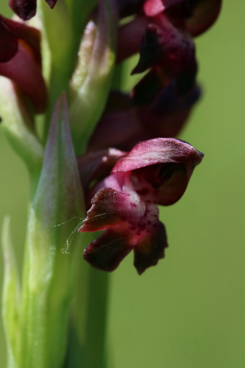 2017_05_25_032077p_Bildgr��e �ndern