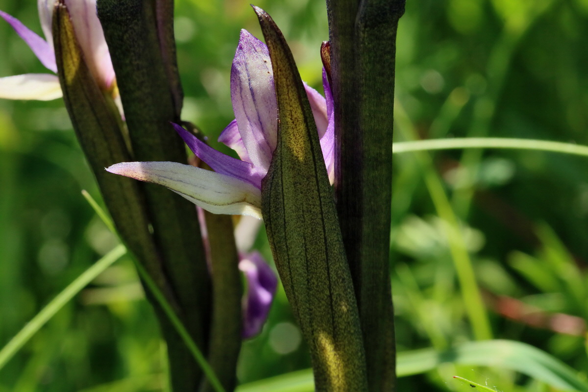 2017_05_25_032113p_Bildgr��e �ndern