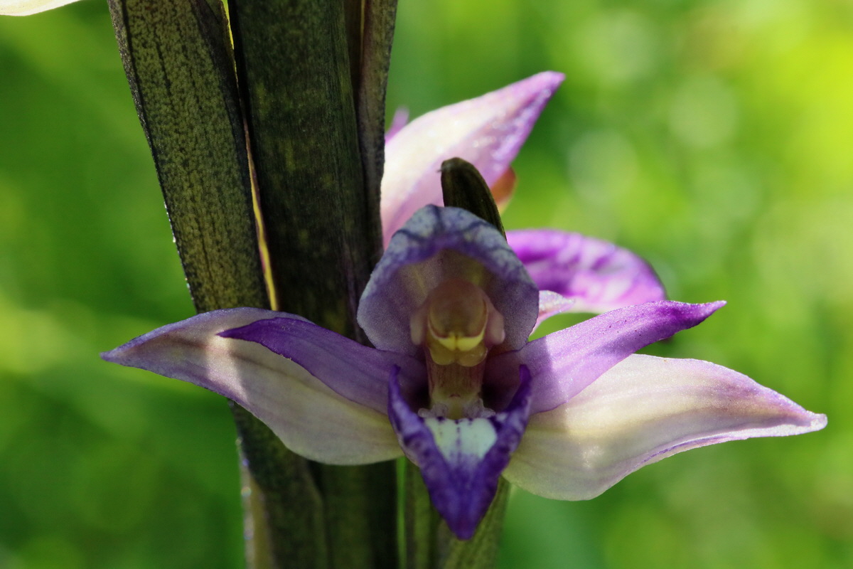 2017_05_25_032121p_Bildgr��e �ndern