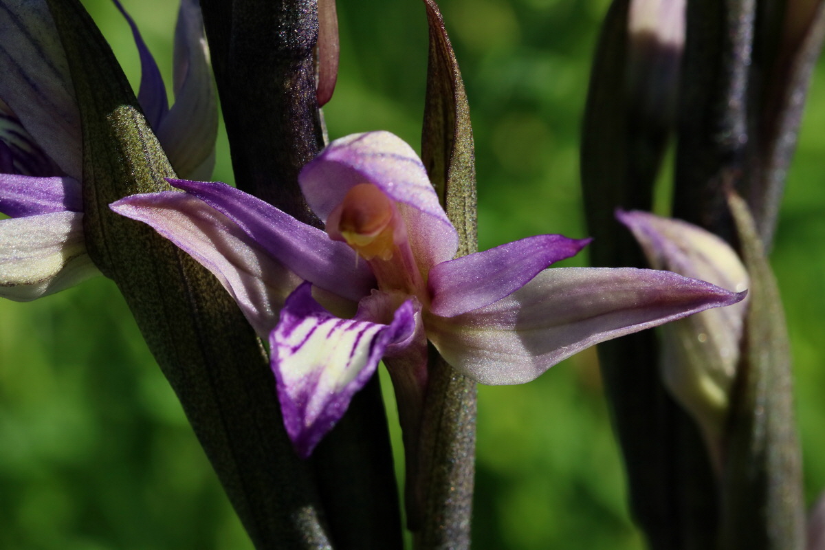 2017_05_25_032154p_Bildgr��e �ndern